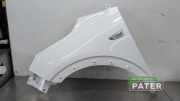 Kotflügel links vorne Opel Crossland X P17 39018599
