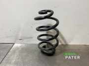 Feder hinten Renault Zoe BFM