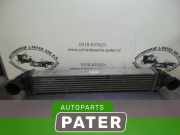 Ladeluftkühler Mercedes-Benz A-Klasse W169 A1695000000