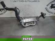 Kühler für Abgasrückführung Kia Picanto 2 TA 2041004900