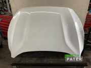 Motorhaube Ford Focus IV Turnier HP