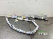 Airbag Dach links Toyota Prius Plus W4 TG10E01002