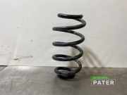 Feder hinten Renault Zoe BFM