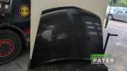 Motorhaube Renault Vel Satis BJ 7751474143