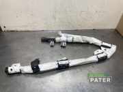 Airbag Dach rechts Tesla Model X 5YJX 103675900G