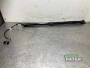 Heckklappendämpfer rechts Citroen C4 II Grand Picasso 9812130080