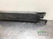 Ladeluftkühler Fiat Punto Evo 199 51836369