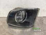 Nebelscheinwerfer links vorne BMW 3er Cabriolet E93 6937465