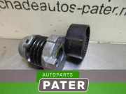 Riemenspanner Nissan Qashqai II J11 117506193R