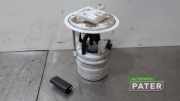 Kraftstoffpumpe Peugeot 208 II UB, UP, UW, UJ 100122813