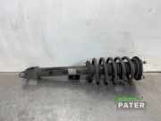 Federbein links vorne Tesla Model Y 5YJY 118836500B