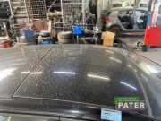 Schiebedach VW Golf VIII CD