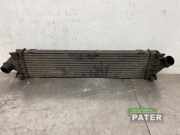 Ladeluftkühler Ford Mondeo IV Turnier BA7 6G919L440FC