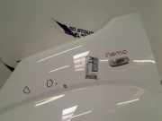 Kotflügel Links Vorne Citroën Nemo (AA) Van 1.4 HDi 70 (DV4TED(8HS)) 2008-05