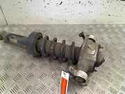 Federbein Links Hinten Volkswagen Touareg (7PA/PH) SUV 3.0 TDI V6 24V (CJMA(Euro 5)) 2011-11 CJMA(Euro 5)