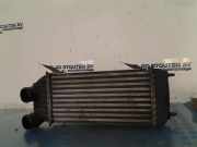 Ladeluftkühler Fiat Scudo (270) Van 1.6 D Multijet DPF (DV6UC(9H07)) 2016-11