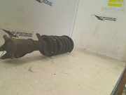 Federbein Links Vorne Nissan Primastar Bus 1.9 dCi 80 (F9Q-762) 2003-06