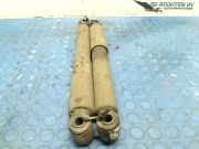 Stoßdämpferset Hinten Mercedes-Benz Vito (639.6) Van 2.2 109 CDI 16V (OM646.980) 2010-01