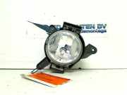 Nebelscheinwerfer Links Vorne Daewoo / Chevrolet Spark Schrägheck 1.0 16V (B10D1(Euro 5)) 2011-06
