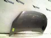 Motorhaube Peugeot 206+ (2L/M) Schrägheck 1.4 XS (TU3JP(KFW)) 2009-11