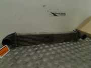 Ladeluftkühler A1695000000 Mercedes-Benz A (W169) Schrägheck 2.0 A-180 CDI 16V (OM640.940(Euro 4)) 2005-07