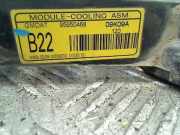 Kühlerventilator 95950468 Daewoo / Chevrolet Aveo (250) Schrägheck 1.2 16V (B12D1(Euro 5)) 2010-03