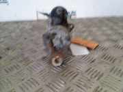 Anlasser NAD101080 Rover 400 (RT) Schrägheck 416Si 16V (16K4F) 1998