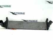 Ladeluftkühler Dacia Logan Express (FS) Van 1.5 dCi (K9K-792) 2010-07