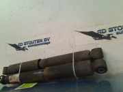 Stoßdämpferset Hinten 2N0513029D Volkswagen Crafter (SY) Van 2.0 TDI FWD (DAUB) 2019-01 DAUB