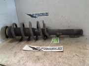 Federbein Rechts Vorne Ford Transit Van 2.2 TDCi 16V RWD (CYR5) 2015-07