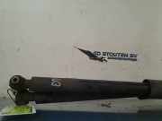 Stoßdämpferset Hinten Mercedes-Benz C (W204) Limousine 2.2 C-200 CDI 16V (OM646.811) 2008-05