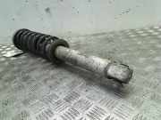 Stoßdämpfer Links Hinten BMW 5 serie (E60) Limousine 530d 24V (M57N-D30(306D2)) 2004-09