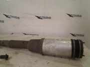 Federbein Rechts Hinten C08605405 Mercedes-Benz S (W220) Limousine 3.7 S-350 V6 18V (M112.972) 2003-01