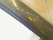 Tür Links Hinten Renault Modus/Grand Modus (JP) Großraumlimousine 1.2 16V (D4F-740(D4F-D7)) 2005-09