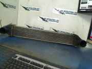 Ladeluftkühler A1695000000 Mercedes-Benz A (W169) Schrägheck 2.0 A-180 CDI 16V (OM640.940(Euro 4)) 2006-07