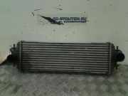 Ladeluftkühler Nissan Primastar Van 1.9 dCi 80 (F9Q-762) 2003-04