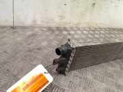 Ladeluftkühler T44960015R Renault Master III (FV) Van 2.3 dCi 16V FWD (M9T-870(Euro 5)) 2012-10