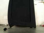 Hutablage Volkswagen Golf VIII (CD1) Schr?gheck 1.4 GTE 16V (DGEA) 2022-04 DGEA