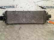 Ladeluftkühler Opel Vivaro Van 2.5 DTI 16V (G9U-730) 2005-02