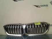 Grill 19297610 BMW 3 serie Touring (G21) Kombi 320e xDrive 2.0 TwinPower Turbo 16V (B48-B20A) 2024-02