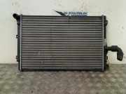 Radiator Volkswagen Passat (3C2) Limousine 2.0 TDI 16V 140 (BKP) 2005-08 BKP