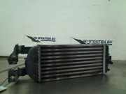 Ladeluftkühler Lancia Ypsilon (312) Schrägheck 0.9 TwinAir 85 (312.A.2000(Euro 5)) 2011-12