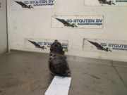 Anlasser A6519060026 Mercedes-Benz Vito (447.6) Van 2.2 114 CDI 16V (OM651.950) 2015-07