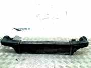 Ladeluftkühler Mercedes-Benz E Kombi (S210) Kombi 3.2 E-320 CDI 24V (OM613.961) 2002-07