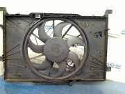 Kühlerventilator 3135103924 A1695002693 Mercedes-Benz A (W169) Schrägheck 2.0 A-180 CDI 16V (OM640.940(Euro 4)) 2006-07
