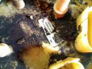 Kraftstoffpumpe A2C82349000 Audi A3 Limousine (8VS/8VM) Limousine 2.0 TDI 16V (CRLB) 2015-10