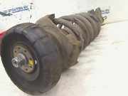 Federbein Links Vorne Renault Trafic New (FL) Van 2.0 dCi 16V 90 (M9R-780) 2009-01