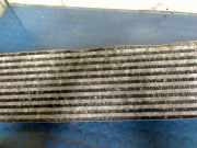 Ladeluftkühler 17517791231 BMW X5 (E53) SUV 3.0d 24V (M57N(306D4)) 2004-01