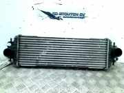 Ladeluftkühler Nissan Primastar Van 1.9 dCi 80 (F9Q-762) 2003-07