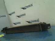 Ladeluftkühler L8119001 Fiat Fiorino (225) Van 1.3 JTD 16V Multijet (199.A.2000) 2011-08